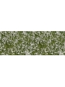 NO07256