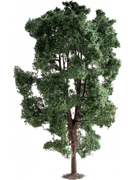 NO21800