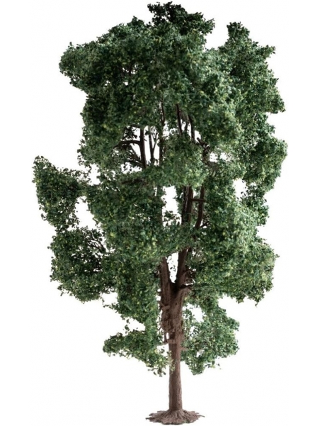 NO21800